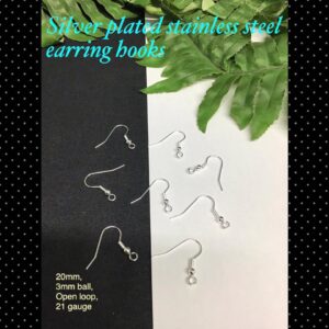 21gauge 20mm Silver plated stainless steel earring hooks (5prs) 30% off!