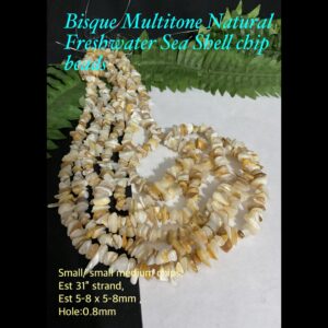 Bisque Multitone Natural Freshwater Sea Shell chips (est 31" long)