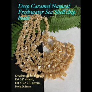 Deep Caramel Natural Freshwater Sea Shell chips (est 32" long)