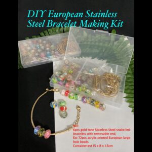 DIY European/Stainless Steel Bracelet Making Kit 10% off until 15Apr26!